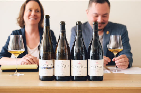 Castagna Vineyard- April 2023